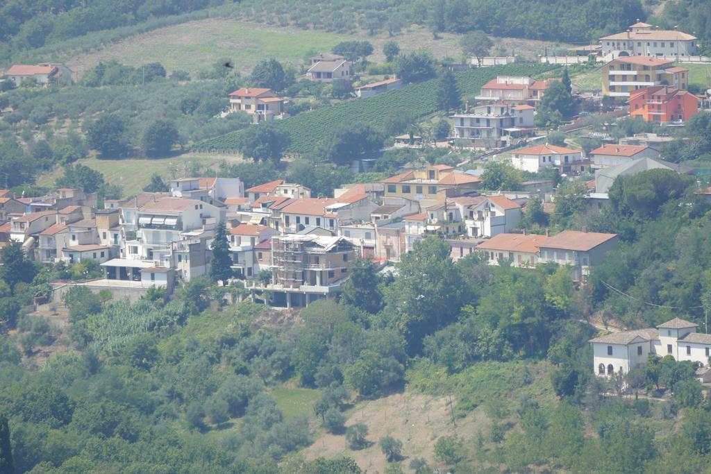 Hotel L'ulivo 3*